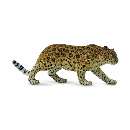 Амурский леопард Collecta