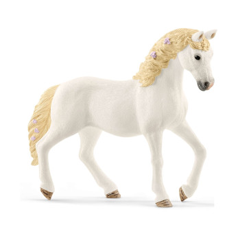 Набор Schleich София и Блосэм
