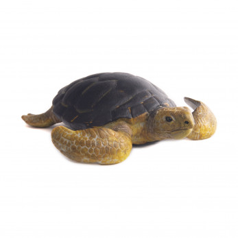 Набор морских обитателей Collecta, 3 фигурки