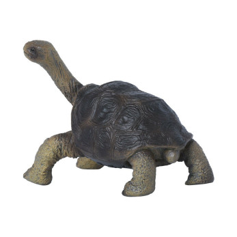Фигурка Collecta Абингдонская слоновая черепаха, M
